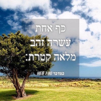 Picture 04 - במדבר 7:80 HEB - כף אחת עשרה זהב מלאה - Bible Verse Picture