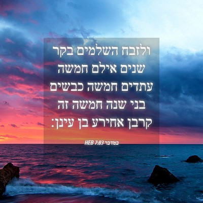 Picture 04 - במדבר 7:83 HEB - ולזבח השלמים בקר שנים אילם - Bible Verse Picture