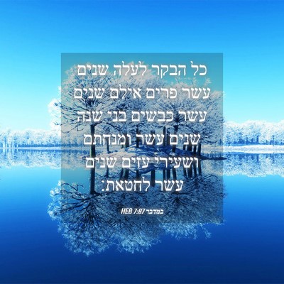 Picture 04 - במדבר 7:87 HEB - כל הבקר לעלה שנים עשר פרים - Bible Verse Picture