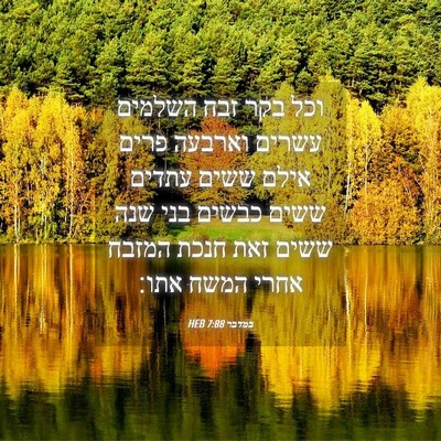 Picture 04 - במדבר 7:88 HEB - וכל בקר זבח השלמים עשרים - Bible Verse Picture