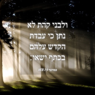 Picture 04 - במדבר 7:9 HEB - ולבני קהת לא נתן כי עבדת - Bible Verse Picture
