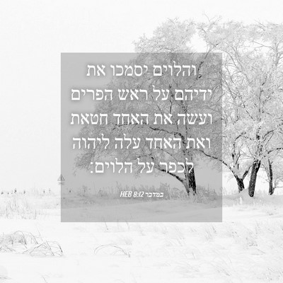 Picture 04 - במדבר 8:12 HEB - והלוים יסמכו את ידיהם על - Bible Verse Picture