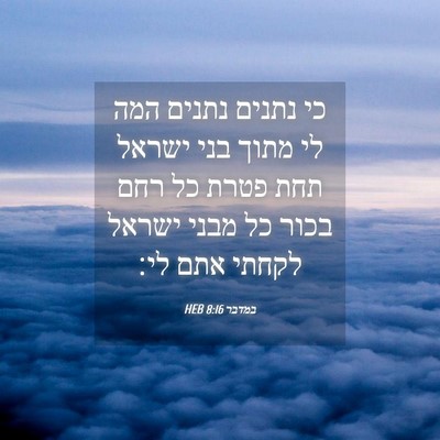 Picture 04 - במדבר 8:16 HEB - כי נתנים נתנים המה לי מתוך - Bible Verse Picture