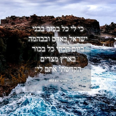 Picture 04 - במדבר 8:17 HEB - כי לי כל בכור בבני ישראל - Bible Verse Picture