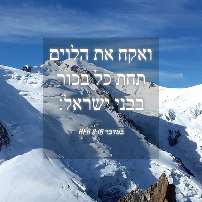 Picture 04 - במדבר 8:18 HEB - ואקח את הלוים תחת כל בכור - Bible Verse Picture