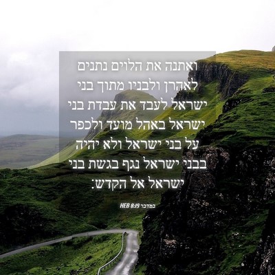 Picture 04 - במדבר 8:19 HEB - ואתנה את הלוים נתנים לאהרן - Bible Verse Picture
