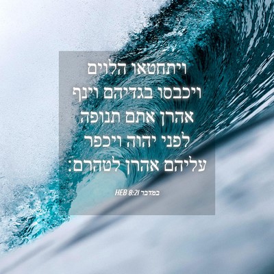 Picture 04 - במדבר 8:21 HEB - ויתחטאו הלוים ויכבסו - Bible Verse Picture
