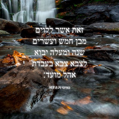 Picture 04 - במדבר 8:24 HEB - זאת אשר ללוים מבן חמש - Bible Verse Picture