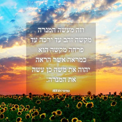 Picture 04 - במדבר 8:4 HEB - וזה מעשה המנרה מקשה זהב עד - Bible Verse Picture