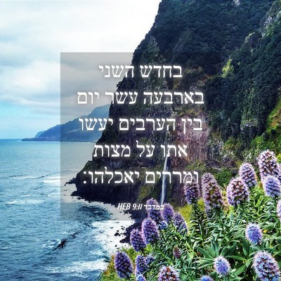 Picture 04 - במדבר 9:11 HEB - בחדש השני בארבעה עשר יום - Bible Verse Picture