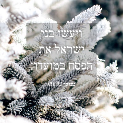Picture 04 - במדבר 9:2 HEB - ויעשו בני ישראל את הפסח - Bible Verse Picture