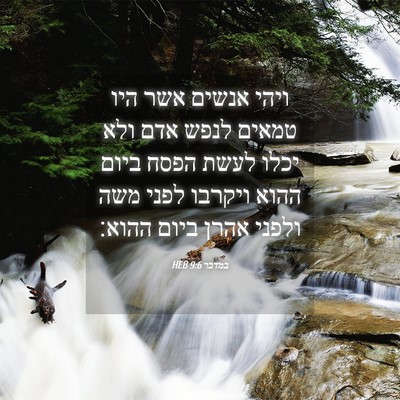 Picture 04 - במדבר 9:6 HEB - ויהי אנשים אשר היו טמאים - Bible Verse Picture