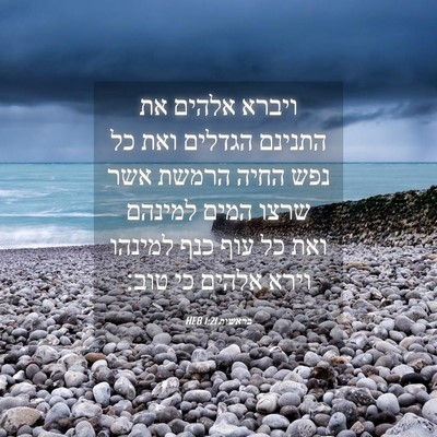 Picture 04 - בראשית 1:21 HEB - ויברא אלהים את התנינם - Bible Verse Picture