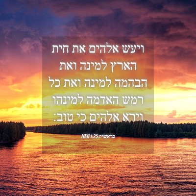 Picture 04 - בראשית 1:25 HEB - ויעש אלהים את חית הארץ - Bible Verse Picture