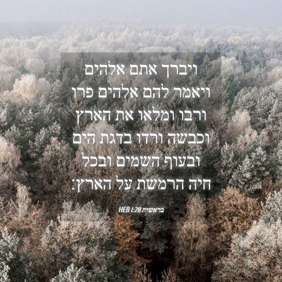 Picture 04 - בראשית 1:28 HEB - ויברך אתם אלהים ויאמר להם - Bible Verse Picture