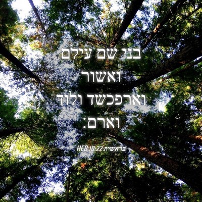 Picture 04 - בראשית 10:22 HEB - בני שם עילם ואשור וארפכשד - Bible Verse Picture