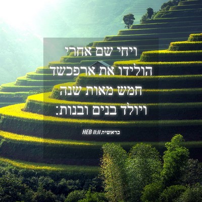 Picture 04 - בראשית 11:11 HEB - ויחי שם אחרי הולידו את - Bible Verse Picture
