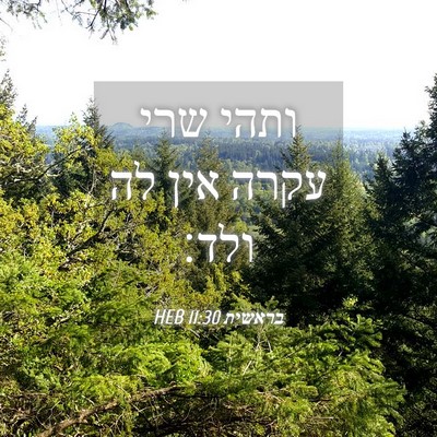 Picture 04 - בראשית 11:30 HEB - ותהי שרי עקרה אין לה - Bible Verse Picture