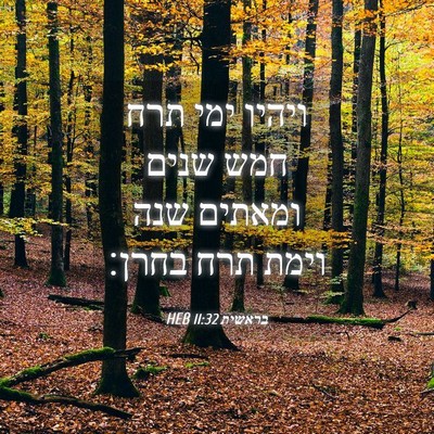 Picture 04 - בראשית 11:32 HEB - ויהיו ימי תרח חמש שנים - Bible Verse Picture