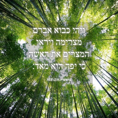 Picture 04 - בראשית 12:14 HEB - ויהי כבוא אברם מצרימה - Bible Verse Picture