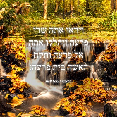 Picture 04 - בראשית 12:15 HEB - ויראו אתה שרי פרעה ויהללו - Bible Verse Picture