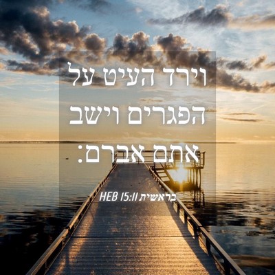 Picture 04 - בראשית 15:11 HEB - וירד העיט על הפגרים וישב - Bible Verse Picture