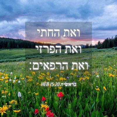Picture 04 - בראשית 15:20 HEB - ואת החתי ואת הפרזי ואת - Bible Verse Picture