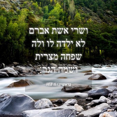 Picture 04 - בראשית 16:1 HEB - ושרי אשת אברם לא ילדה לו - Bible Verse Picture