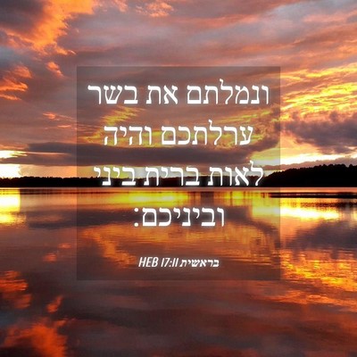 Picture 04 - בראשית 17:11 HEB - ונמלתם את בשר ערלתכם והיה - Bible Verse Picture