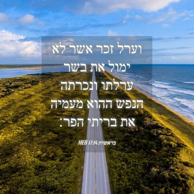 Picture 04 - בראשית 17:14 HEB - וערל זכר אשר לא ימול את בשר - Bible Verse Picture