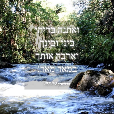 Picture 04 - בראשית 17:2 HEB - ואתנה בריתי ביני ובינך - Bible Verse Picture