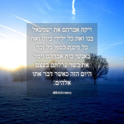 Picture 04 - בראשית 17:23 HEB - ויקח אברהם את ישמעאל בנו - Bible Verse Picture