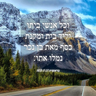 Picture 04 - בראשית 17:27 HEB - וכל אנשי ביתו יליד בית - Bible Verse Picture
