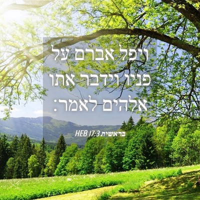 Picture 04 - בראשית 17:3 HEB - ויפל אברם על פניו וידבר אתו - Bible Verse Picture