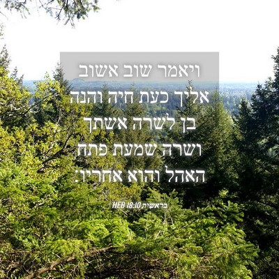 Picture 04 - בראשית 18:10 HEB - ויאמר שוב אשוב אליך כעת חיה - Bible Verse Picture