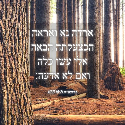 Picture 04 - בראשית 18:21 HEB - ארדה נא ואראה הכצעקתה הבאה - Bible Verse Picture