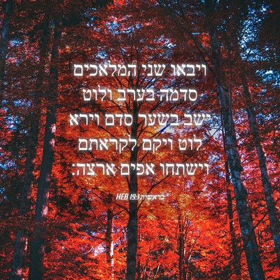 Picture 04 - בראשית 19:1 HEB - ויבאו שני המלאכים סדמה - Bible Verse Picture
