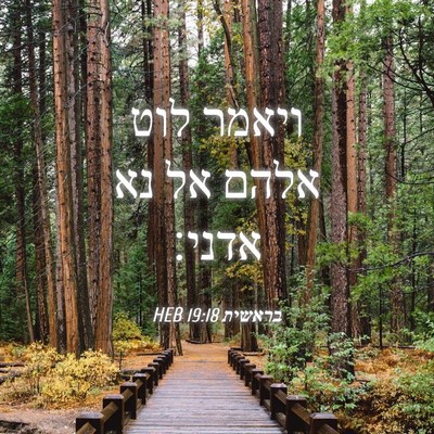 Picture 04 - בראשית 19:18 HEB - ויאמר לוט אלהם אל נא - Bible Verse Picture
