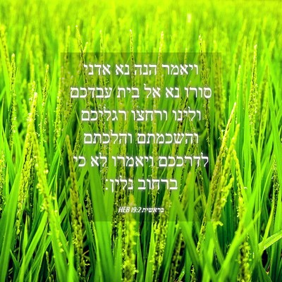 Picture 04 - בראשית 19:2 HEB - ויאמר הנה נא אדני סורו נא - Bible Verse Picture