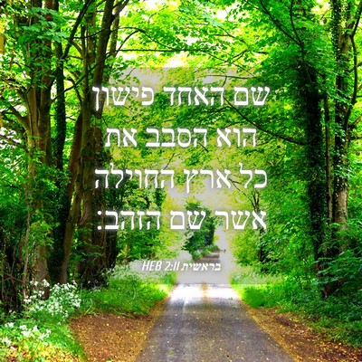 Picture 04 - בראשית 2:11 HEB - שם האחד פישון הוא הסבב את - Bible Verse Picture
