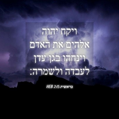 Picture 04 - בראשית 2:15 HEB - ויקח יהוה אלהים את האדם - Bible Verse Picture
