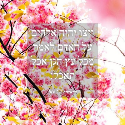 Picture 04 - בראשית 2:16 HEB - ויצו יהוה אלהים על האדם - Bible Verse Picture