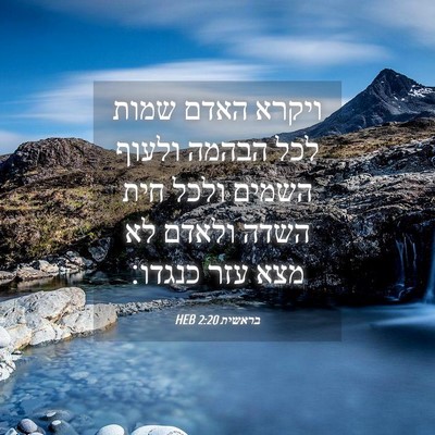 Picture 04 - בראשית 2:20 HEB - ויקרא האדם שמות לכל הבהמה - Bible Verse Picture