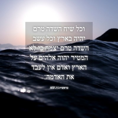 Picture 04 - בראשית 2:5 HEB - וכל שיח השדה טרם יהיה בארץ - Bible Verse Picture