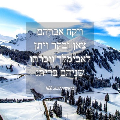 Picture 04 - בראשית 21:27 HEB - ויקח אברהם צאן ובקר ויתן - Bible Verse Picture