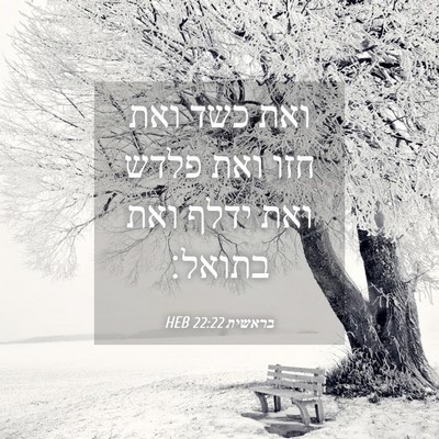 Picture 04 - בראשית 22:22 HEB - ואת כשד ואת חזו ואת פלדש - Bible Verse Picture