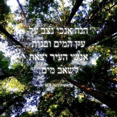 Picture 04 - בראשית 24:13 HEB - הנה אנכי נצב על עין המים - Bible Verse Picture