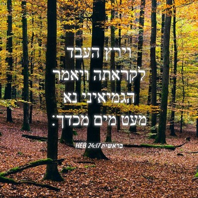 Picture 04 - בראשית 24:17 HEB - וירץ העבד לקראתה ויאמר - Bible Verse Picture