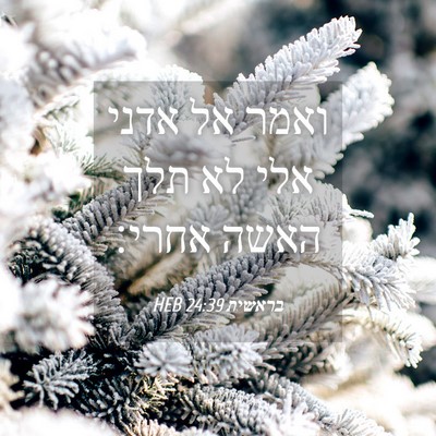 Picture 04 - בראשית 24:39 HEB - ואמר אל אדני אלי לא תלך - Bible Verse Picture