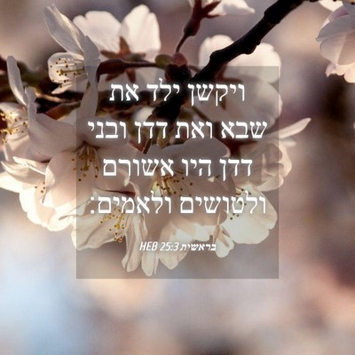 Picture 04 - בראשית 25:3 HEB - ויקשן ילד את שבא ואת דדן - Bible Verse Picture
